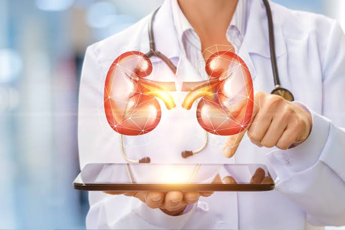 Top Kidney Specialist Doctors in Khulna - Doctor Khulna