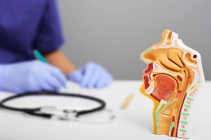 ENT Doctors in Khulna - Doctor Khulna